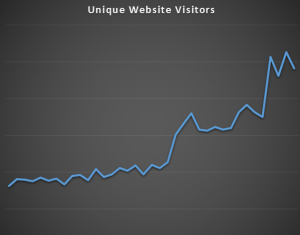 Unique Website Visitors