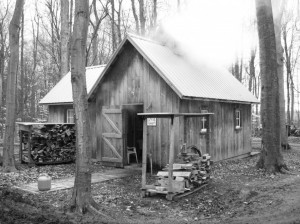 The Blasius sugar shack